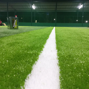 Крытое футбольное поле с бесплатным заполнением искусственной травой Комплексное решение для снабжения 